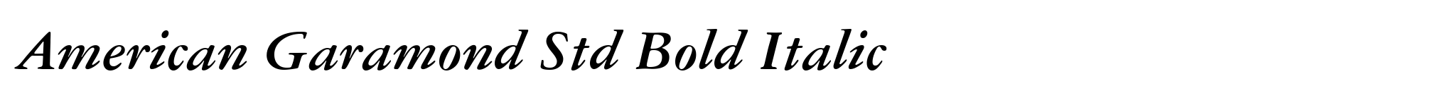 American Garamond Std Bold Italic image